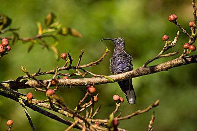 韩国网文改编ARPG《我独自升级》将登陆PC＆移动端